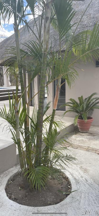 Wild Goose Hotel Marloth Park Bagian luar foto