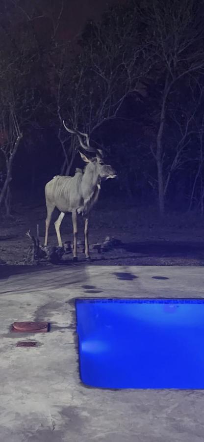 Wild Goose Hotel Marloth Park Bagian luar foto
